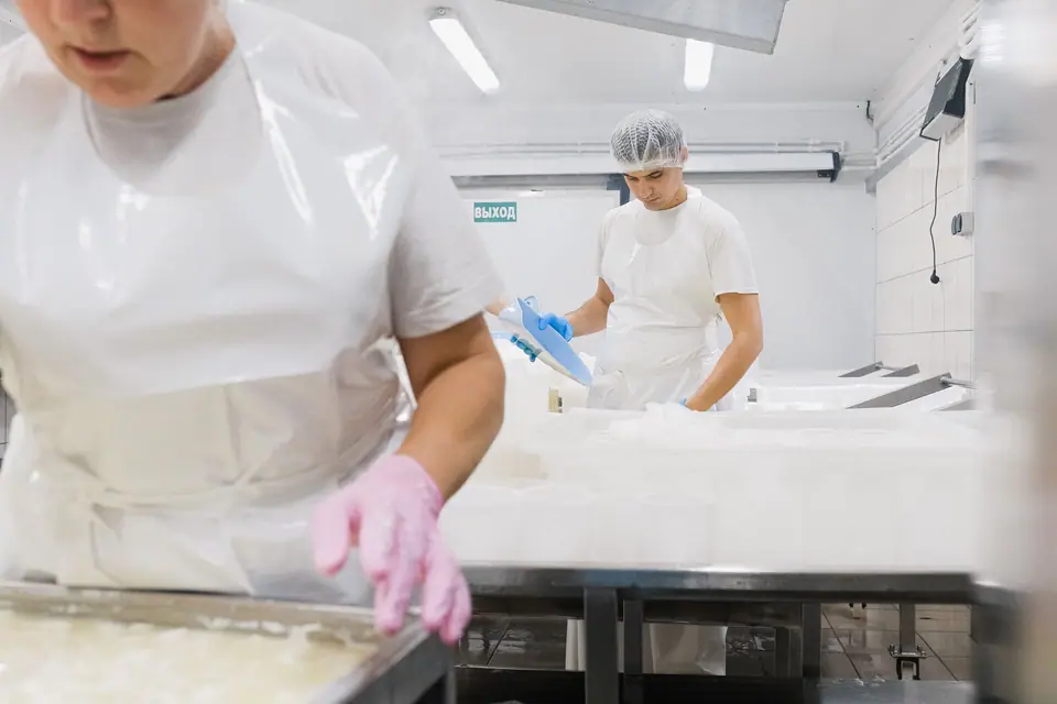 HACCP denetiminde haşere kontrol dosyasında ne olmalı?